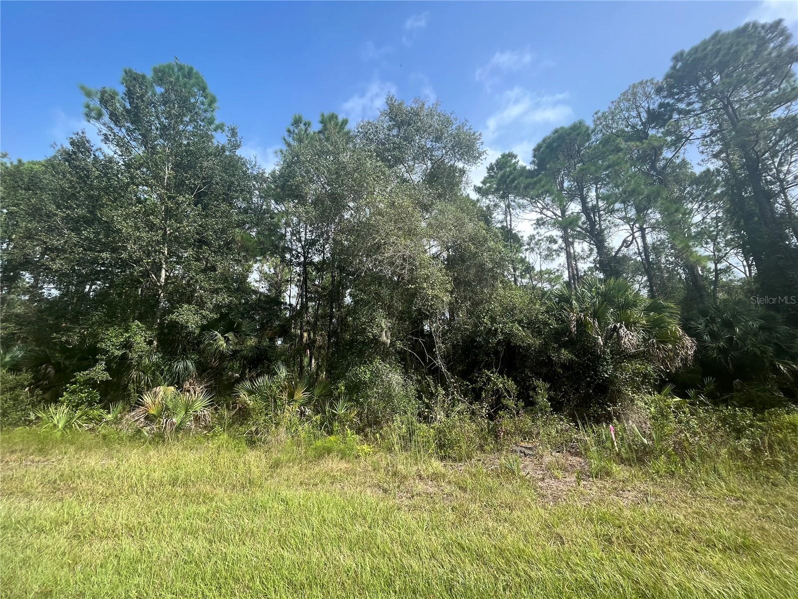 PARADISE LAKES SUB - Land