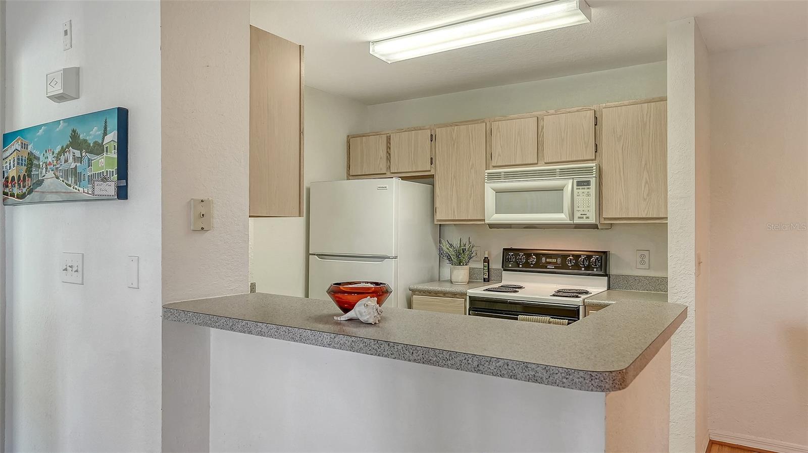 THE VILLAGE AT TOWNPARK - Residential