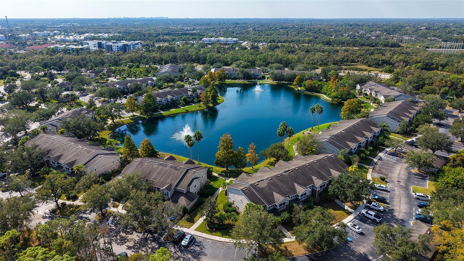 THE VILLAGE AT TOWNPARK - Residential