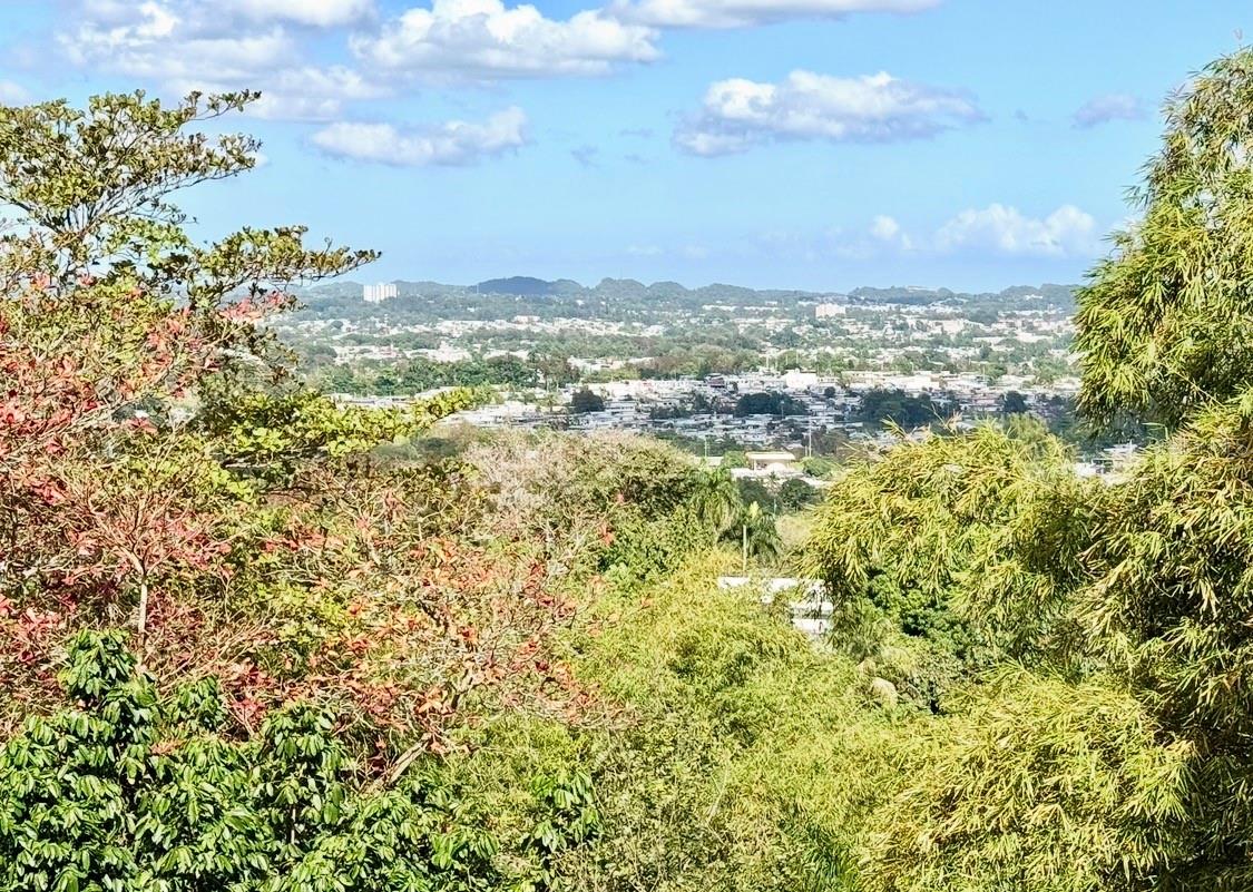 BO MINILLAS SEC VERGARA - Residential