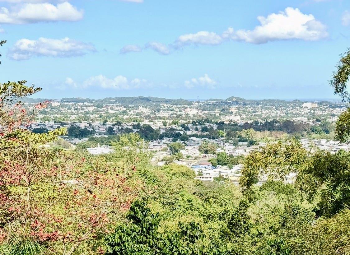 BO MINILLAS SEC VERGARA - Residential