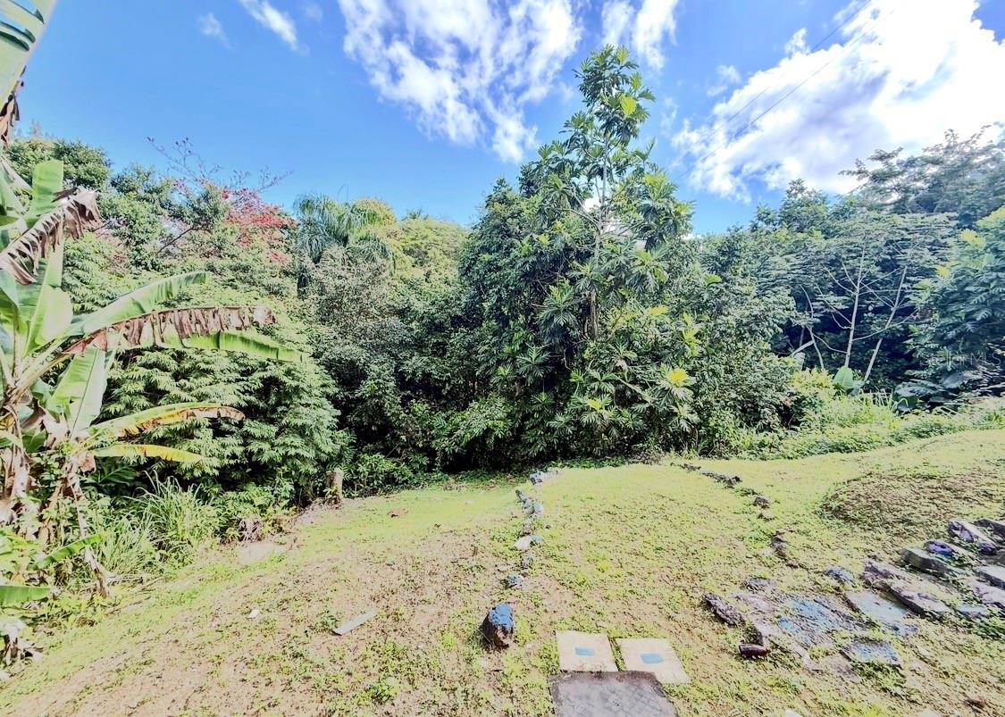 BO MINILLAS SEC VERGARA - Residential