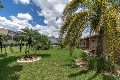 A home in SUN CITY CENTER