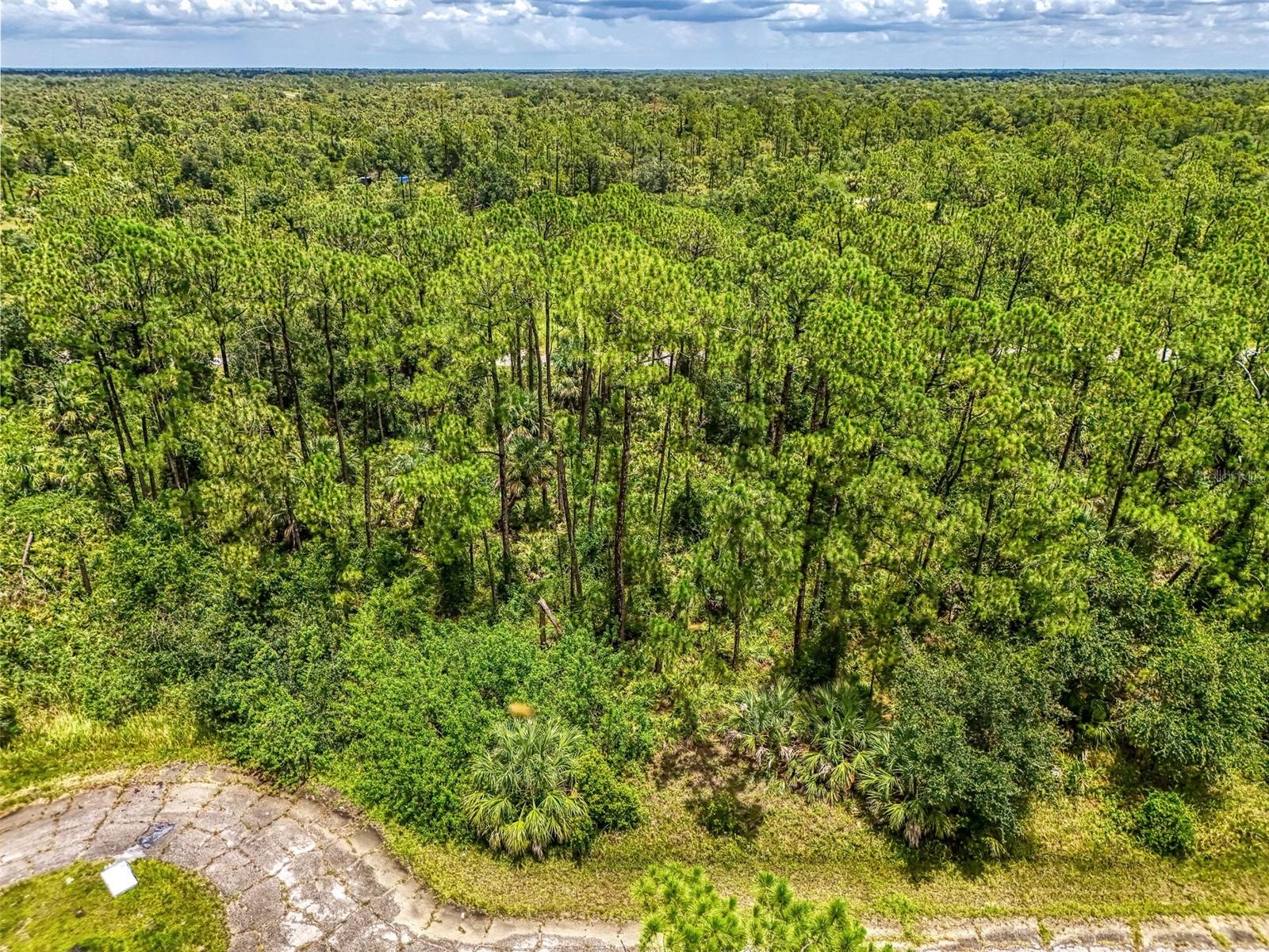Located on a quiet wooded Cul-de-sac surrounded by trees and nature, with no HOA a great place to build your customized new home! Now is the time to have the items you have been searching for in your new, find your builder, draw up the plans and make your dream come true!