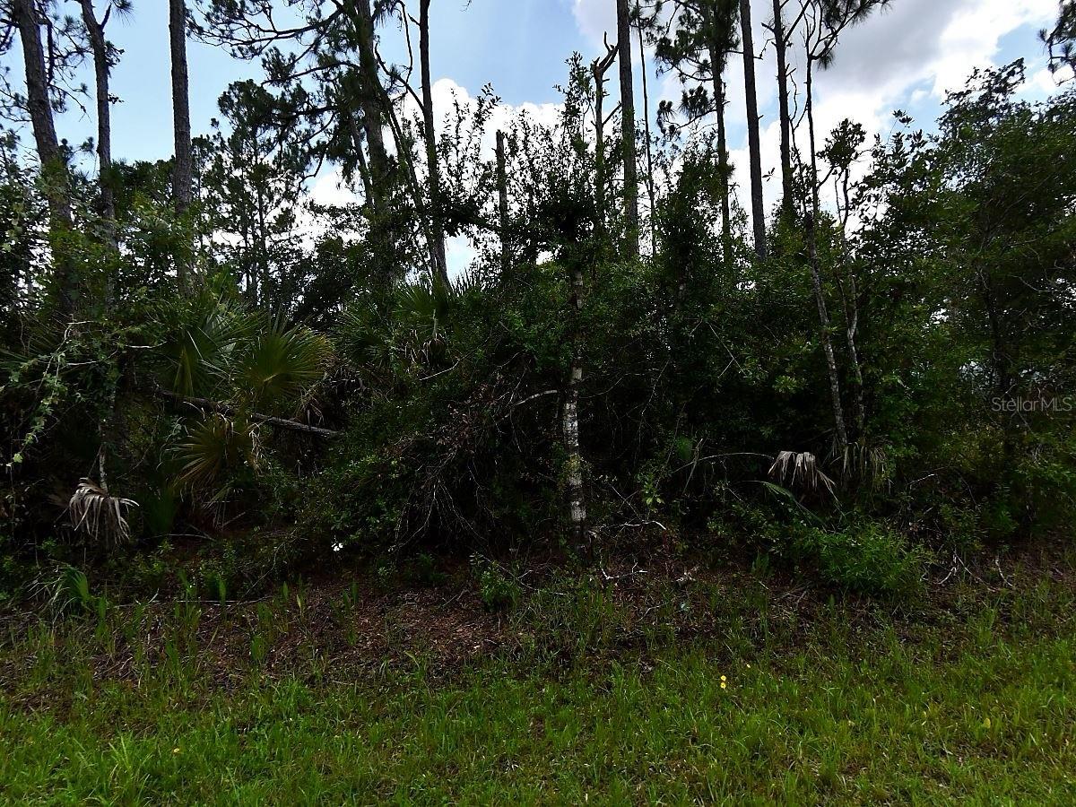 PORT CHARLOTTE SUB 30 - Land