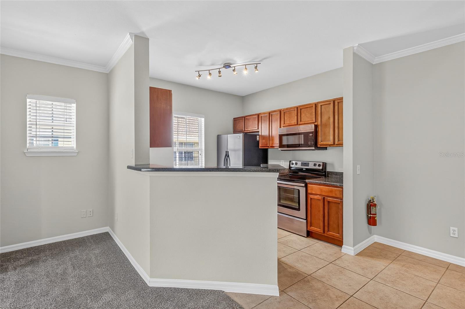 SIENA AT CELEBRATION CONDO A - Residential