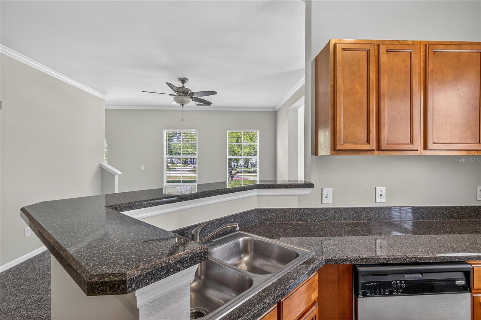 SIENA AT CELEBRATION CONDO A - Residential