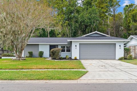 16118 OAKMANOR DRIVE TAMPA FL 33624