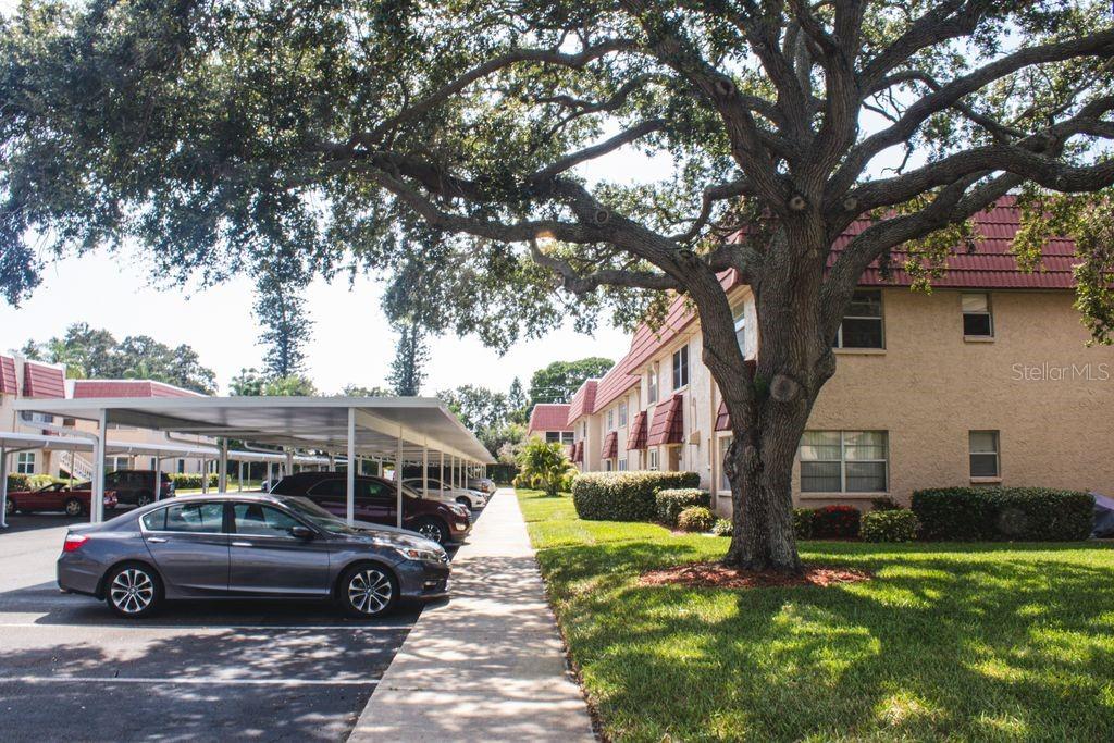 LONG BAYOU - Residential Lease