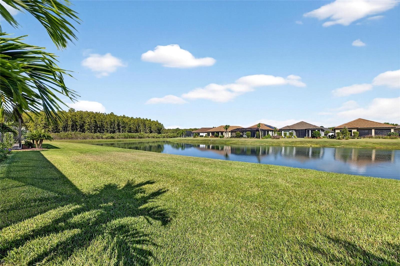 ESPLANADE AT STARKEY RANCH - Residential