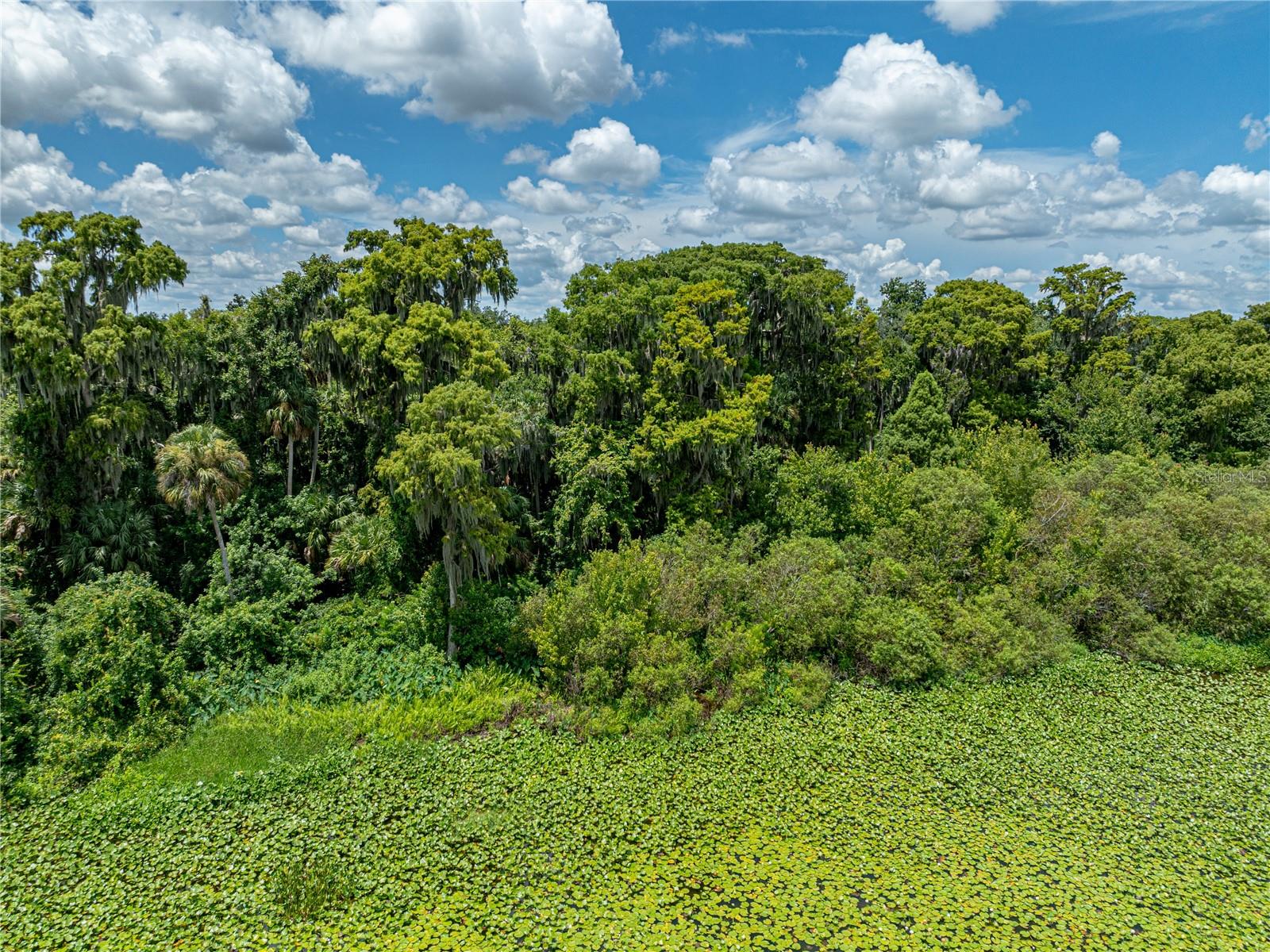 ACREAGE - Land
