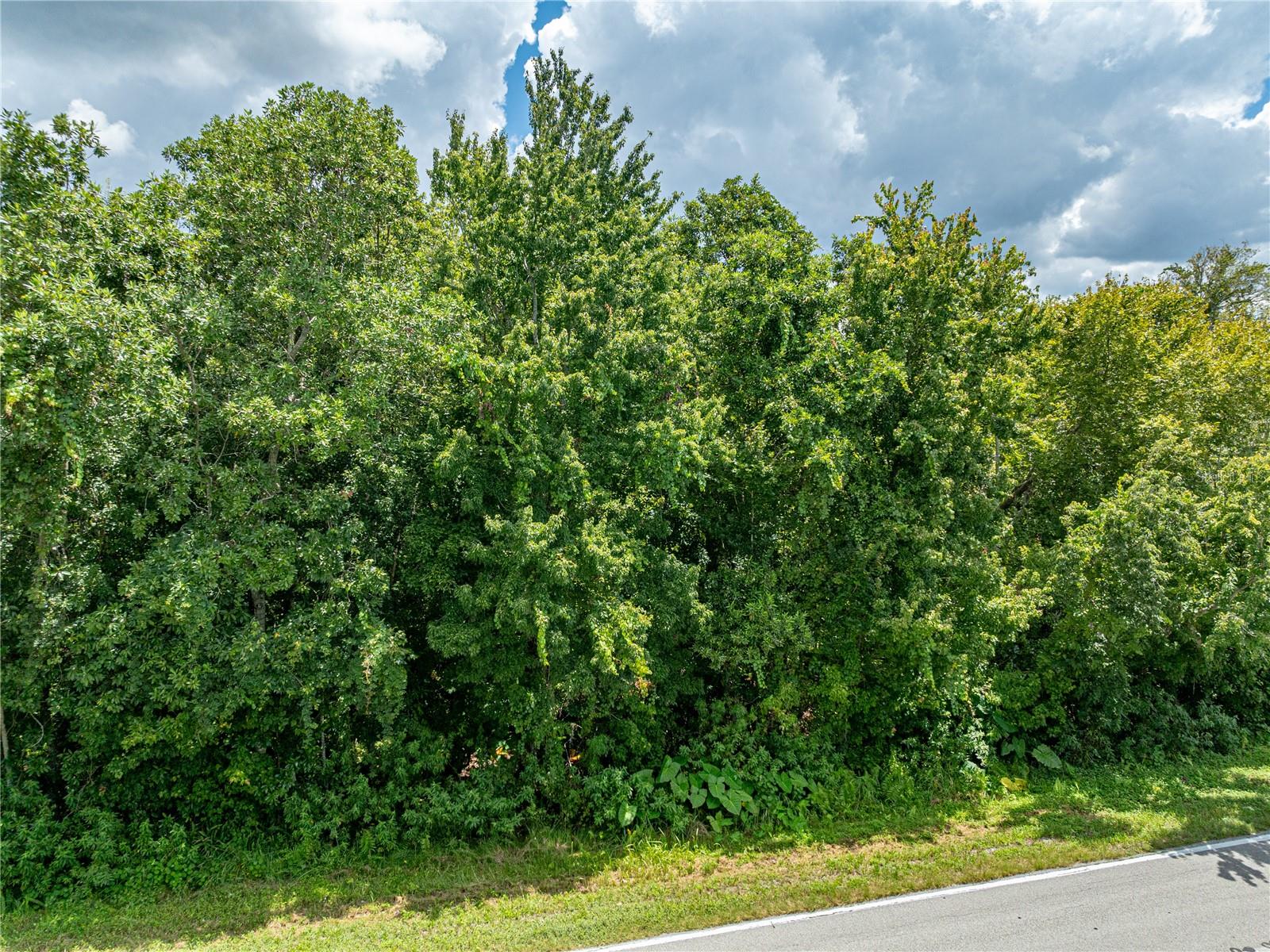 ACREAGE - Land