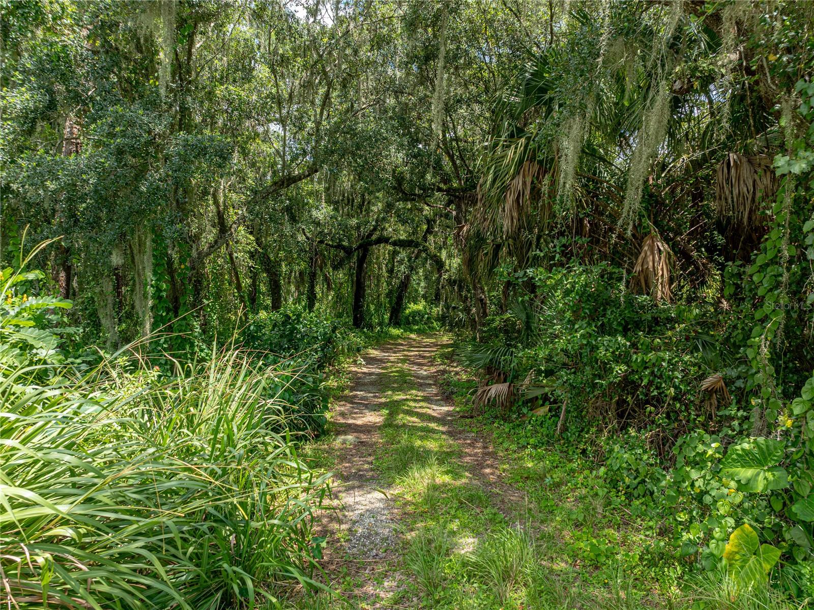 ACREAGE - Land