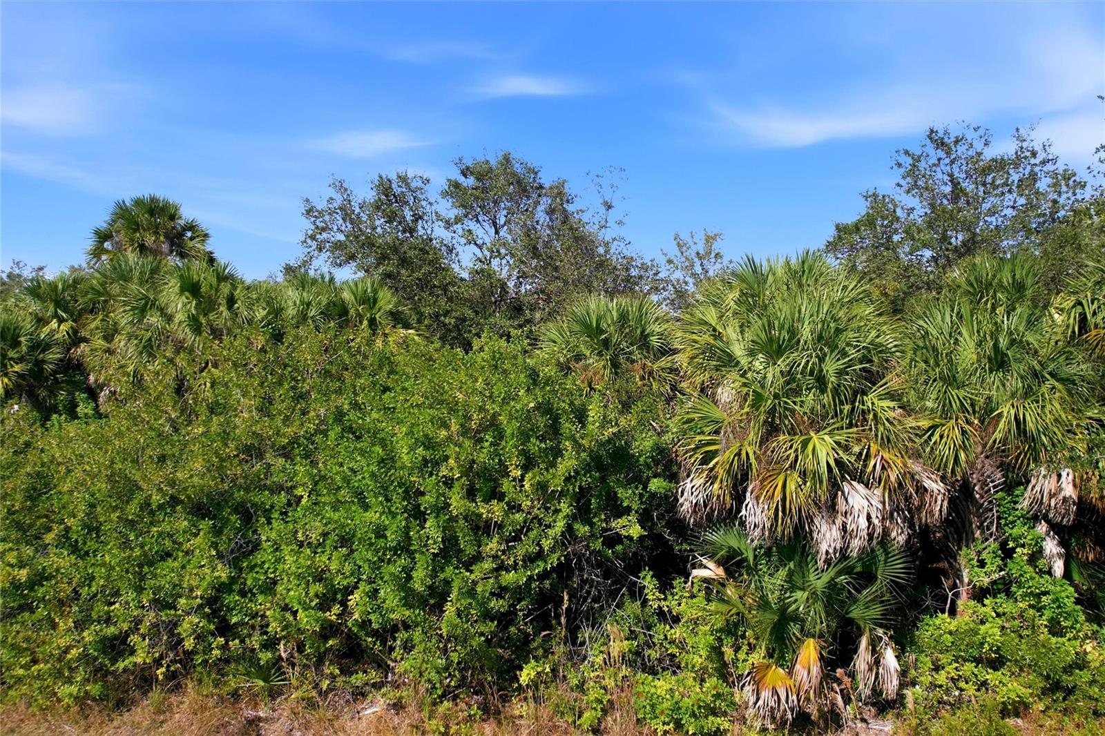 2072 CHAFFEE STREET, PORT CHARLOTTE, FL, 33953 4 2072 CHAFFEE STREET