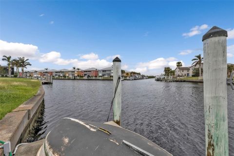 A home in PUNTA GORDA