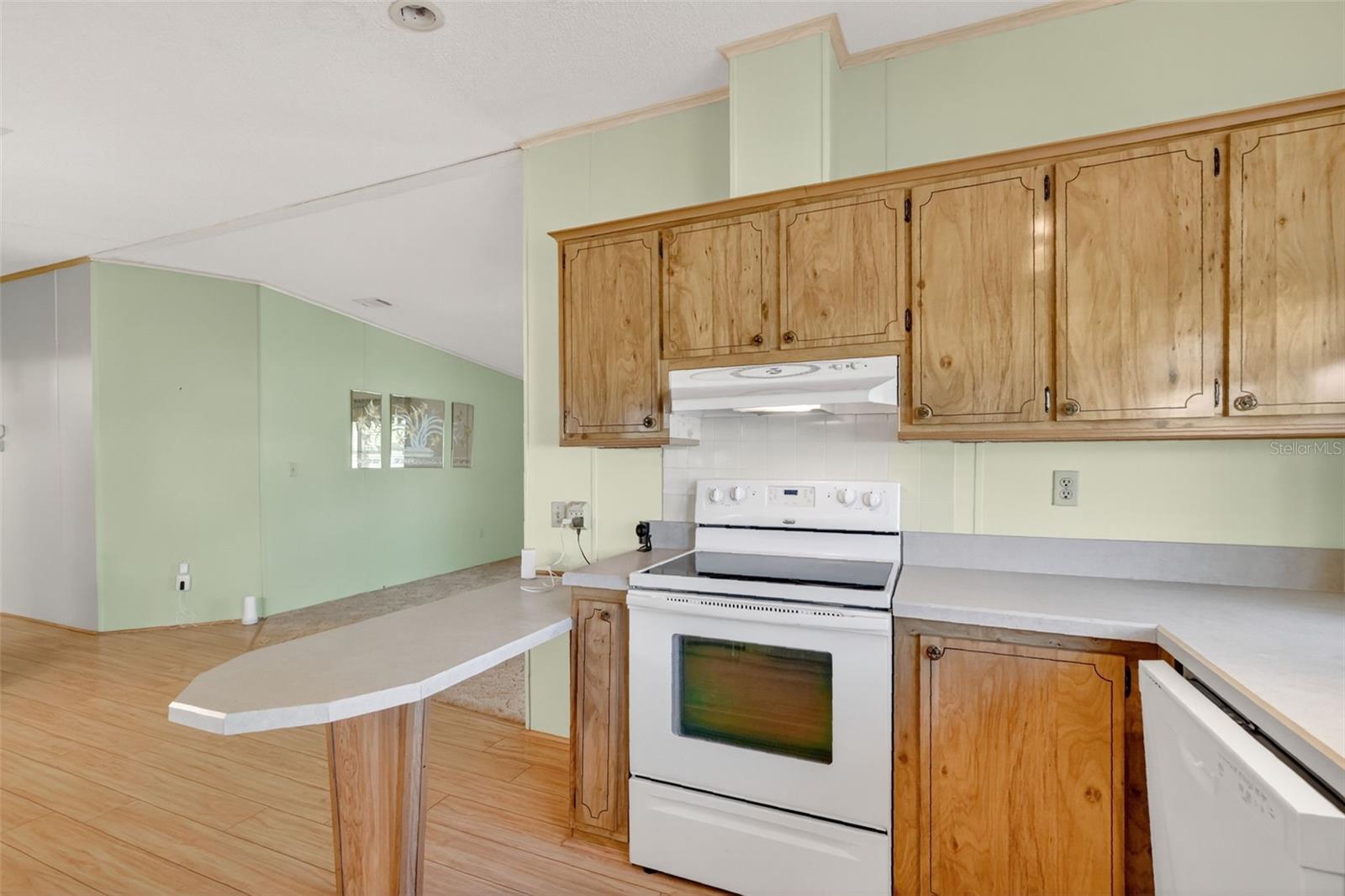 TAVARES FOX RUN MOBILE HOME - Residential