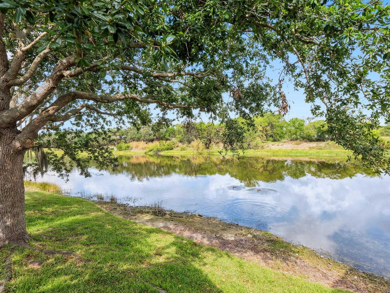 BARTON FARMS - Residential