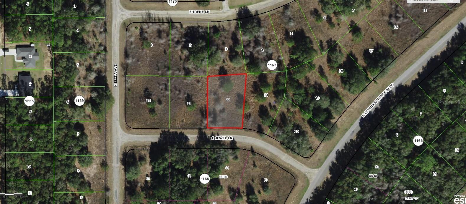 Citrus Springs Oversized Lot! - Lowest in the Market!