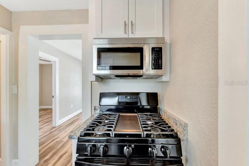 SPRING HILL REV - Residential Lease