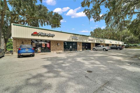 Tiny photo for 407 N West Street, Bushnell, FL 33513 (MLS # G5100362)