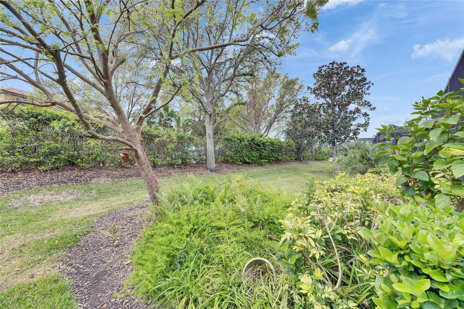 SOUTHSHORE FALLS PH 1 - Residential