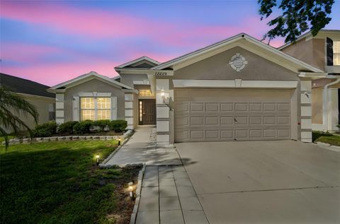 Photo of 13226 Evening Sunset Lane, Riverview, FL 33579 (MLS # TB8498805)