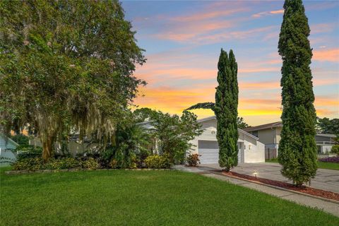 A home in TAMPA