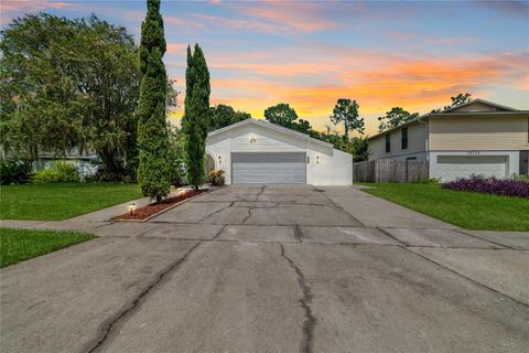 A home in TAMPA