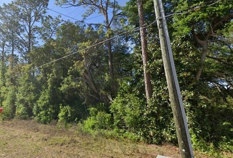 SE 17TH LANE OCKLAWAHA FL 32179