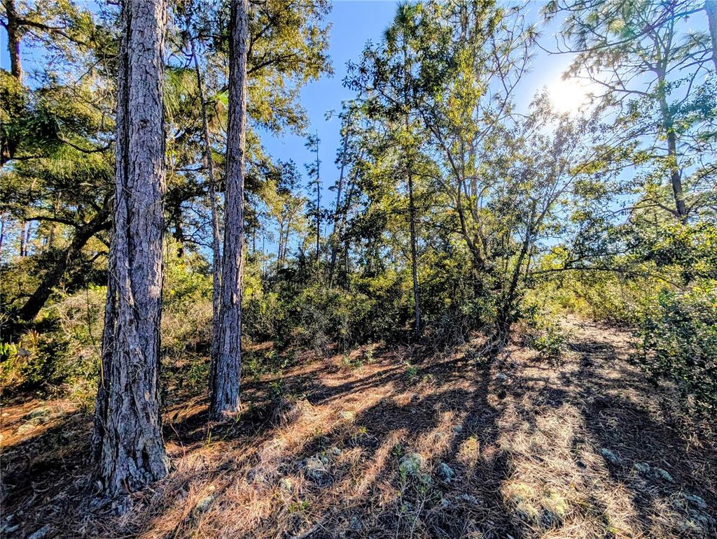 Photo of 609 Indian Lake Drive, Indian Lake Estates, FL 33855 (MLS # S5138288)