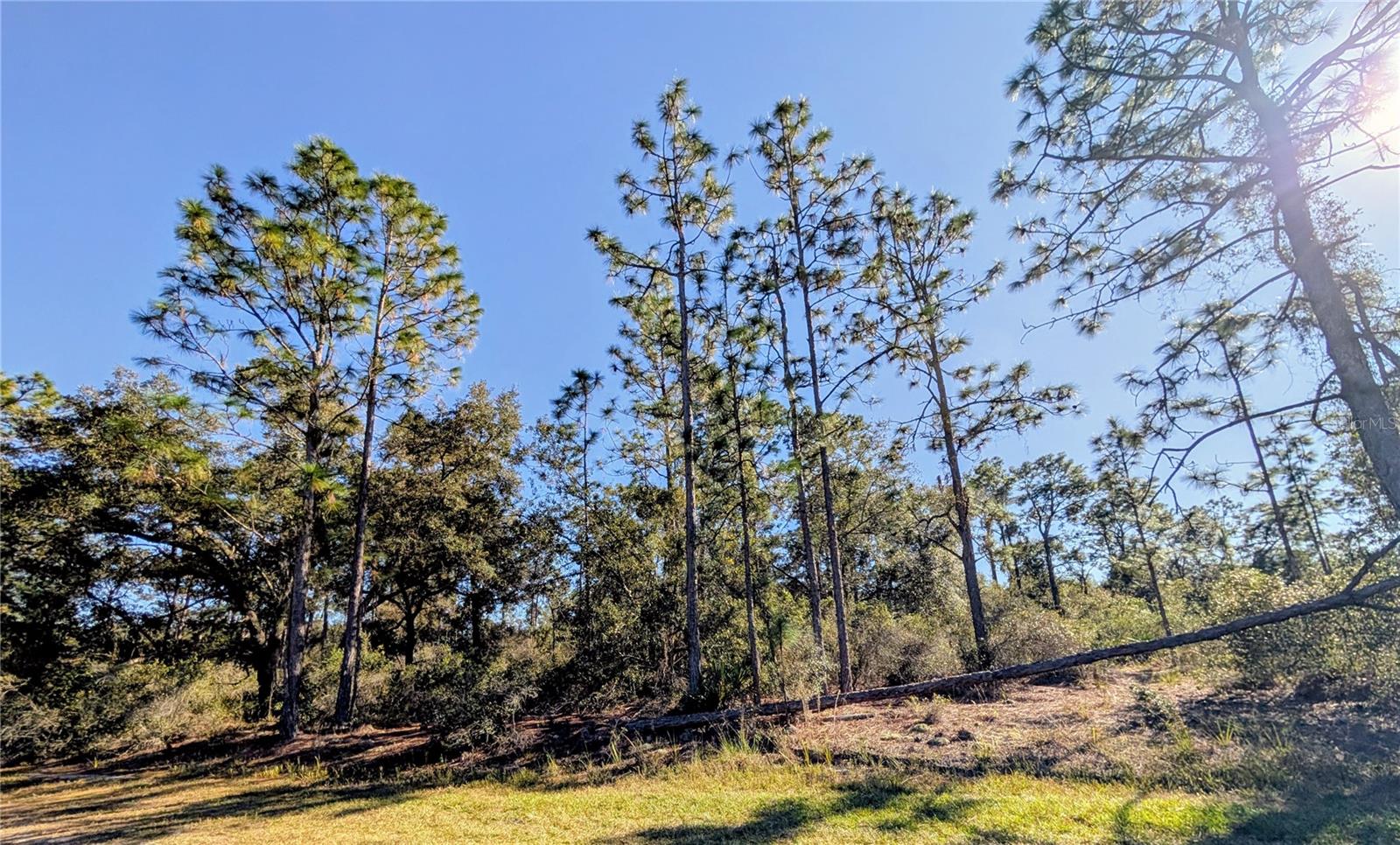 INDIAN LAKE ESTATES - Land