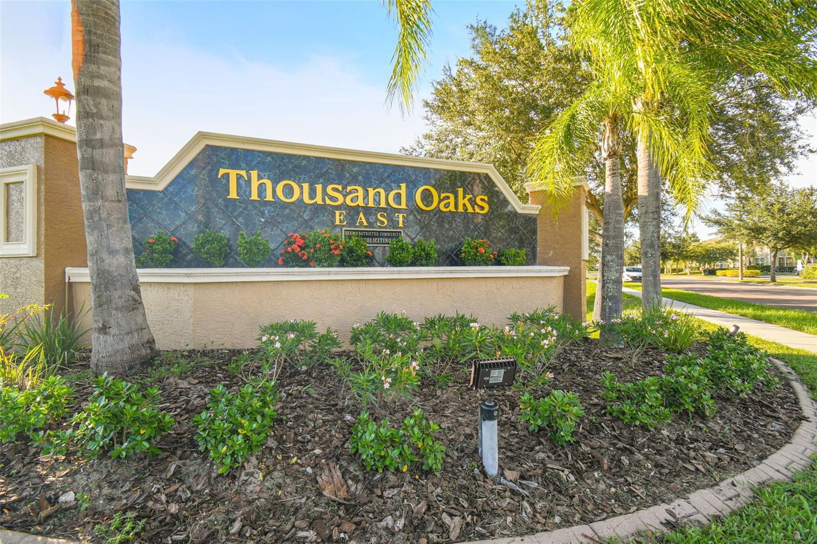 1616 REGAL MIST LOOP