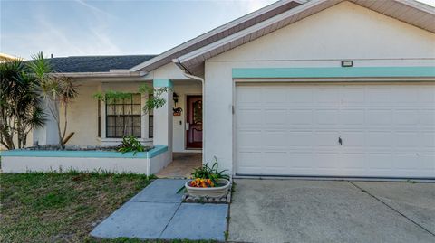 10733 FALLEN LEAF LANE PORT RICHEY FL 34668