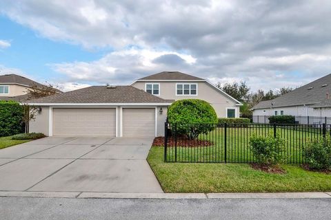 A home in LITHIA