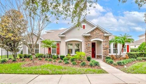 A home in LITHIA