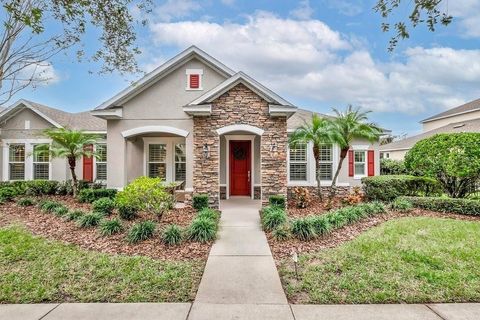 A home in LITHIA