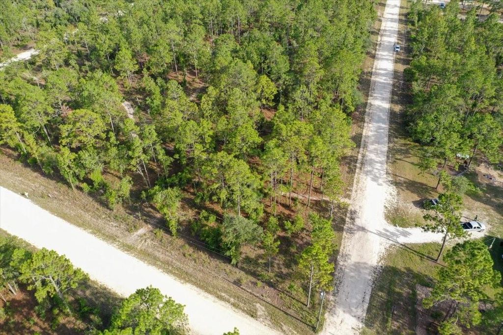 Photo of 0000 NE 131 Lot 10 Terrace, Williston, FL 32696 (MLS # TB8529243)