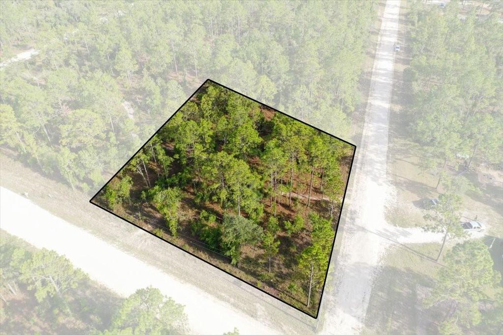 Photo of 0000 NE 131 Lot 10 Terrace, Williston, FL 32696 (MLS # TB8529243)