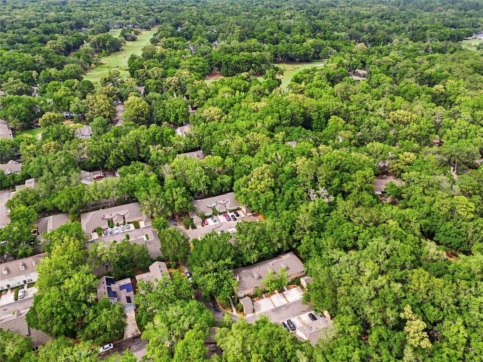 HAILE PLANTATION- PLANTATION VILLAS - Residential