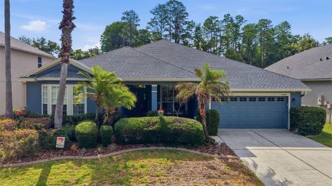 Photo of 7544 Whispering Wind Drive, Land O Lakes, FL 34637 (MLS # TB8505509)