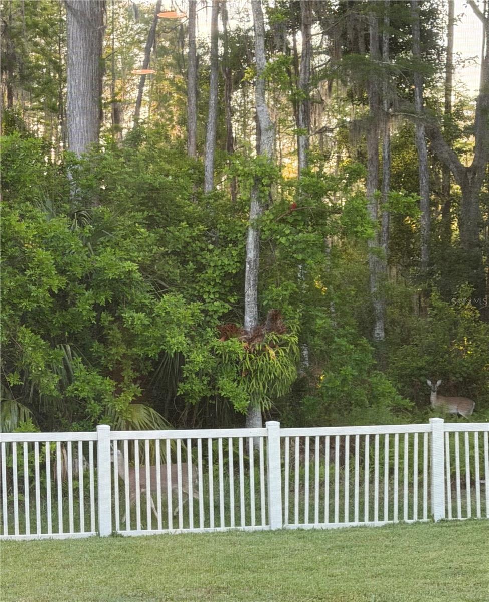 WILDERNESS LAKE PRESERVE PH 01 - Residential