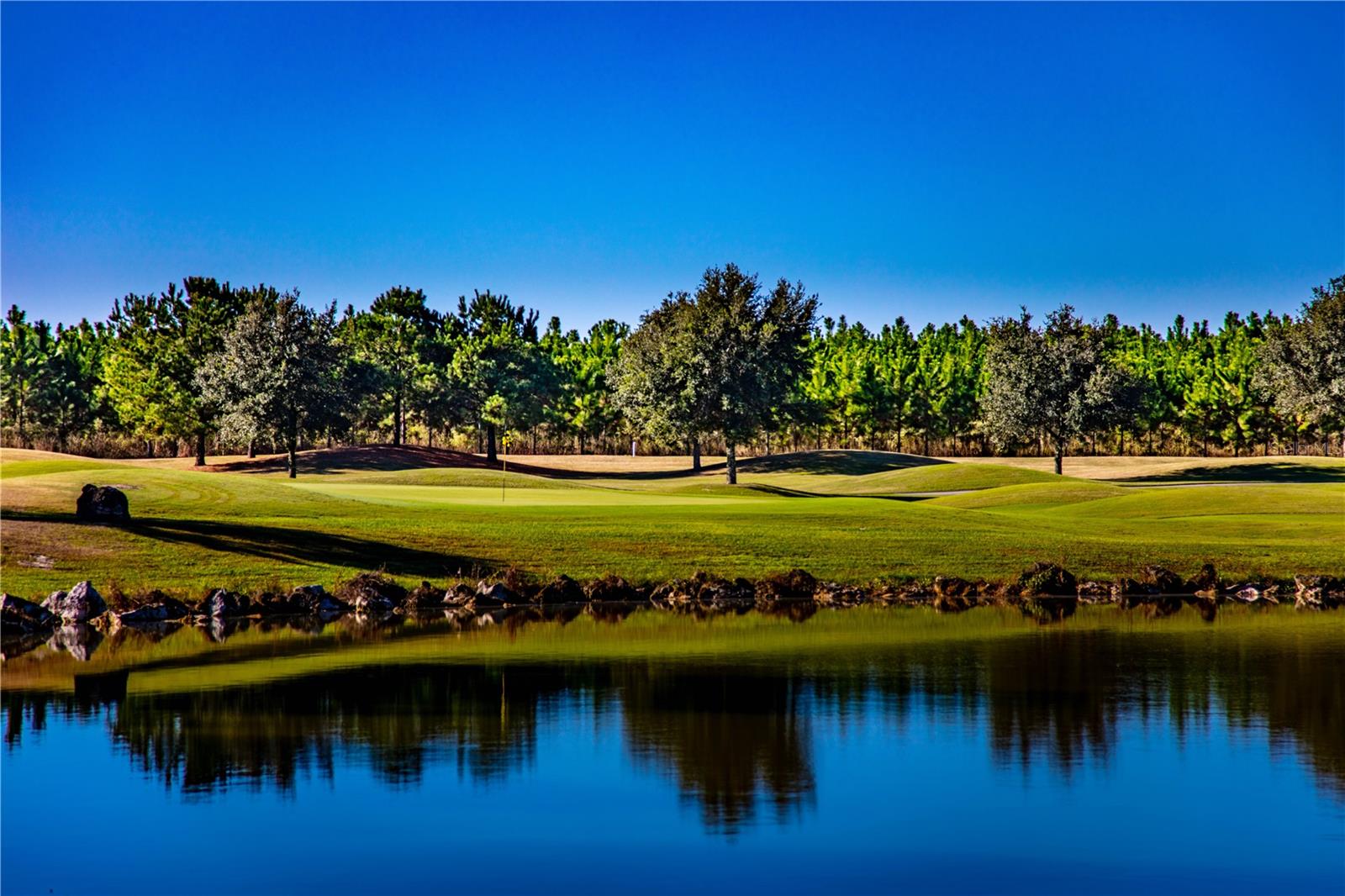 STONE CRK BY DEL WEBB WELLINGT - Residential