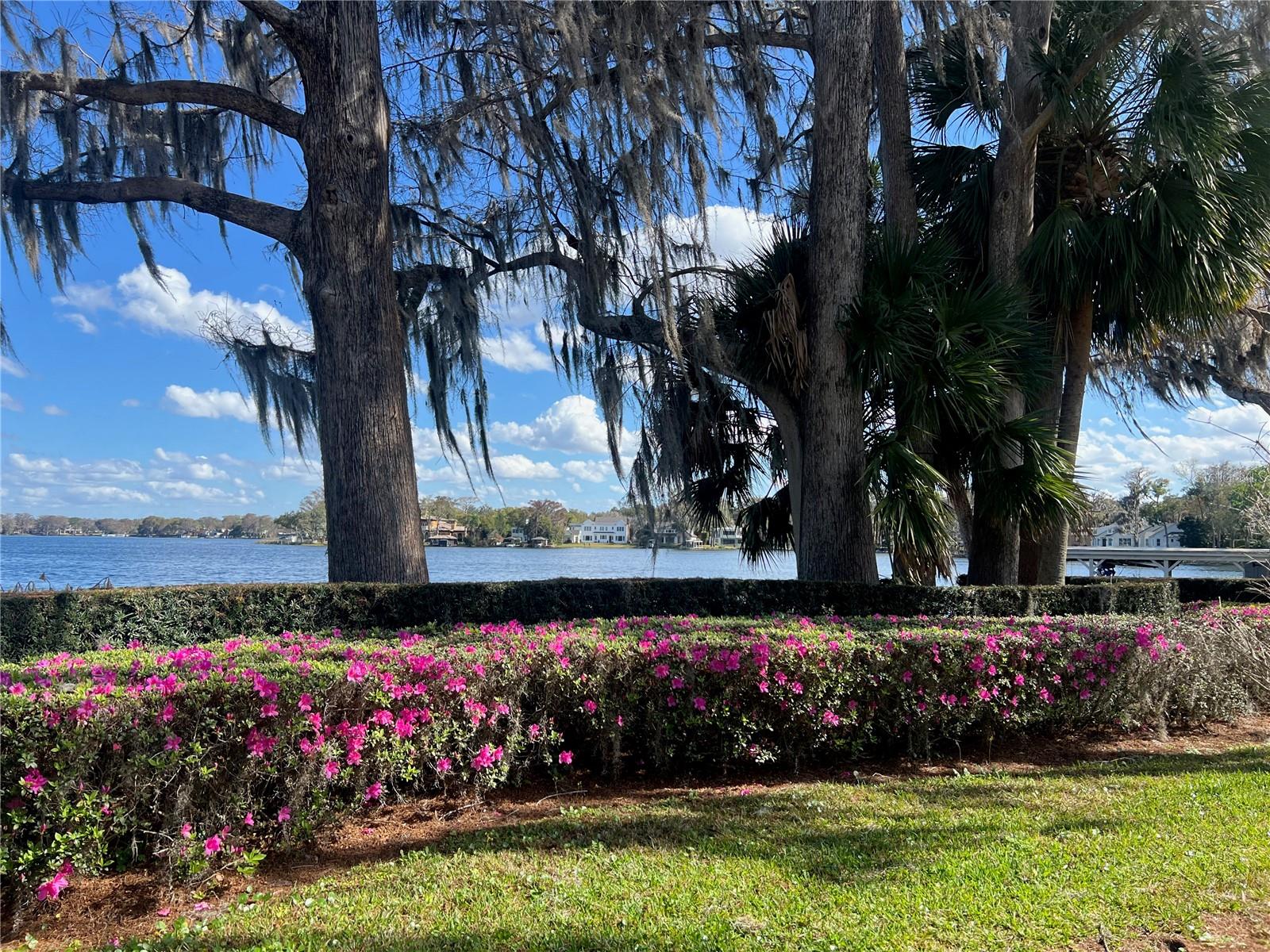 COLLEGE PLACE REP - Residential