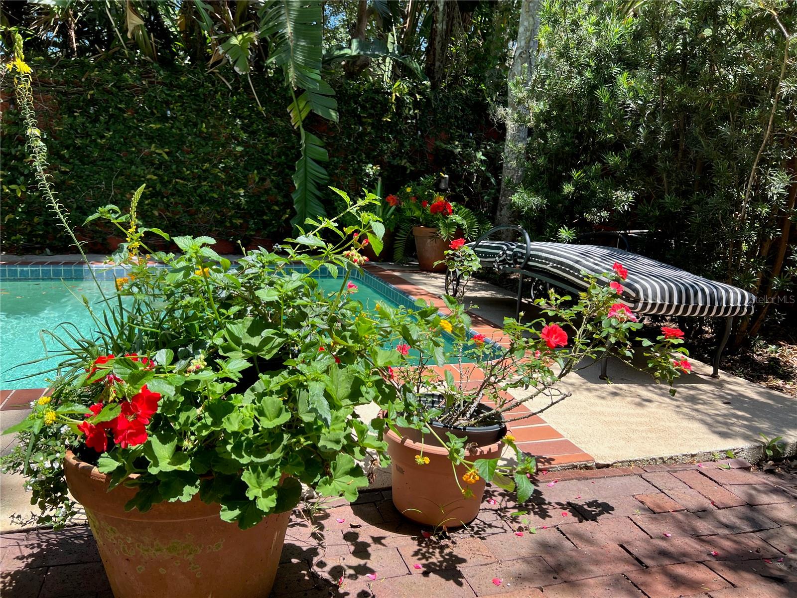 COLLEGE PLACE REP - Residential