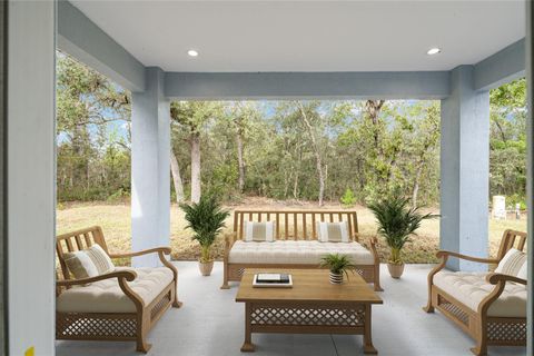 Photo of 63 Guava Place Drive, Ocklawaha, FL 32179 (MLS # OM708819)