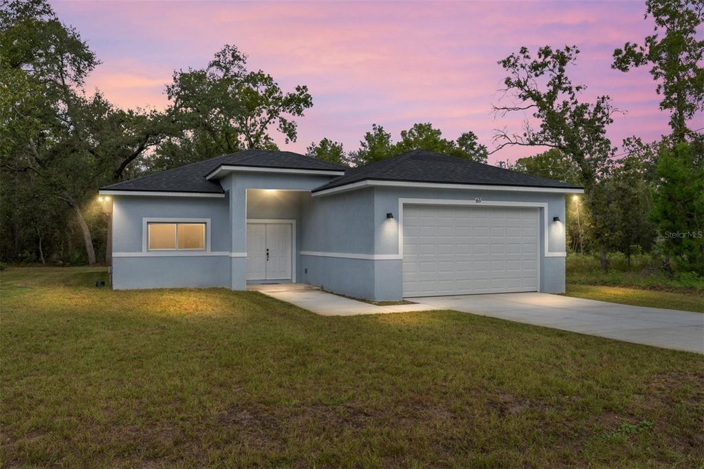 Photo of 63 Guava Place Drive, Ocklawaha, FL 32179 (MLS # OM708819)