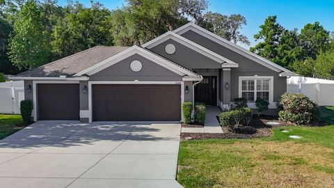Photo of 12244 Loopback Drive, San Antonio, FL 33576 (MLS # TB8506279)