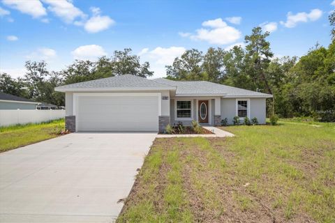 8469 SE 161ST PLACE SUMMERFIELD FL 34491