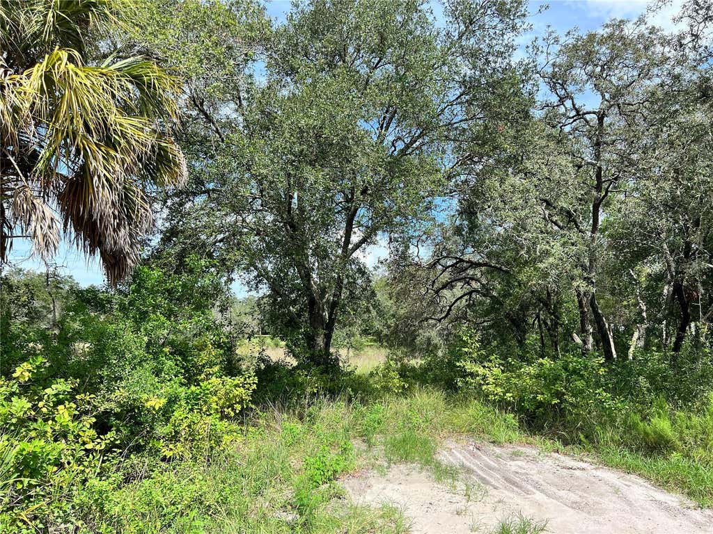Photo of 13339 Vivian Lane, Hudson, FL 34669 (MLS # TB8543011)