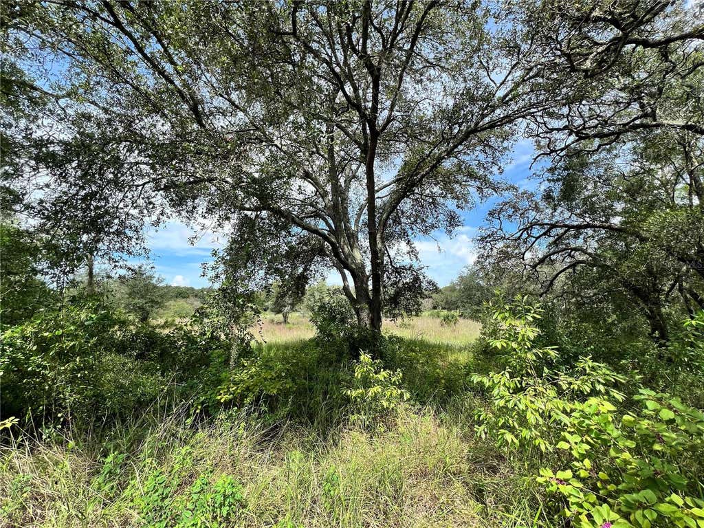 Photo of 13339 Vivian Lane, Hudson, FL 34669 (MLS # TB8543011)